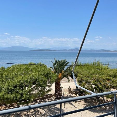 Finikas Apartment Iria Luaran gambar