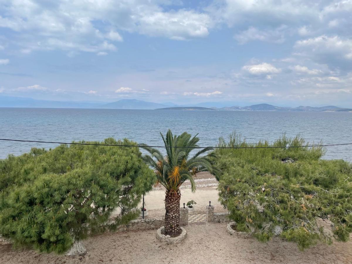 Finikas Apartment Iria Luaran gambar