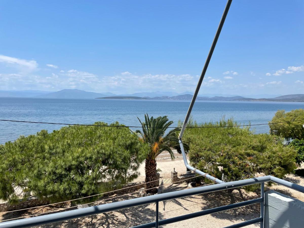 Finikas Apartment Iria Luaran gambar